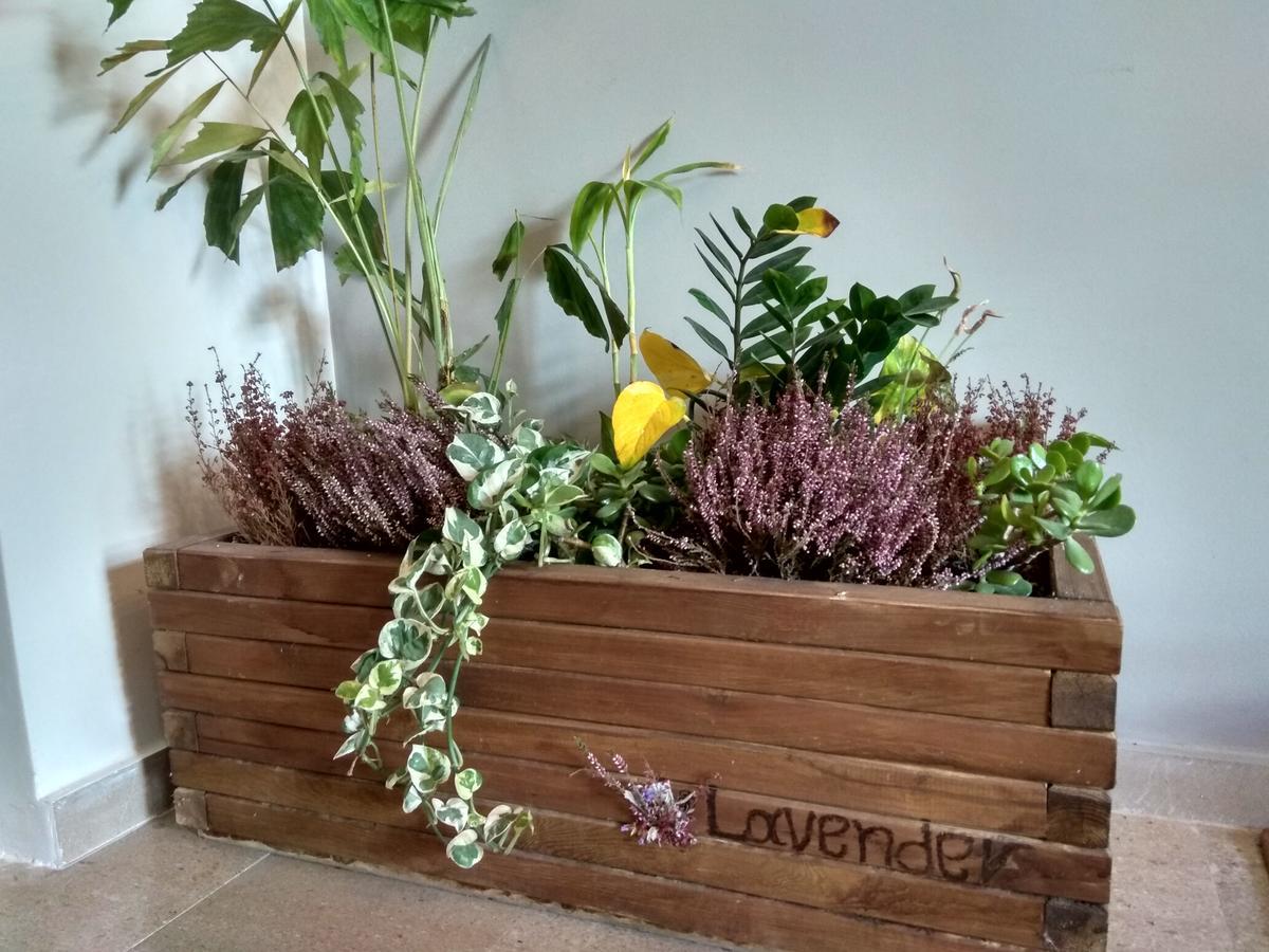 Lavender Lejlighed Kalamata Eksteriør billede